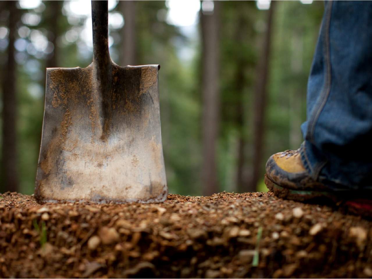 Shimano lanza su nuevo Trail Born Fund 