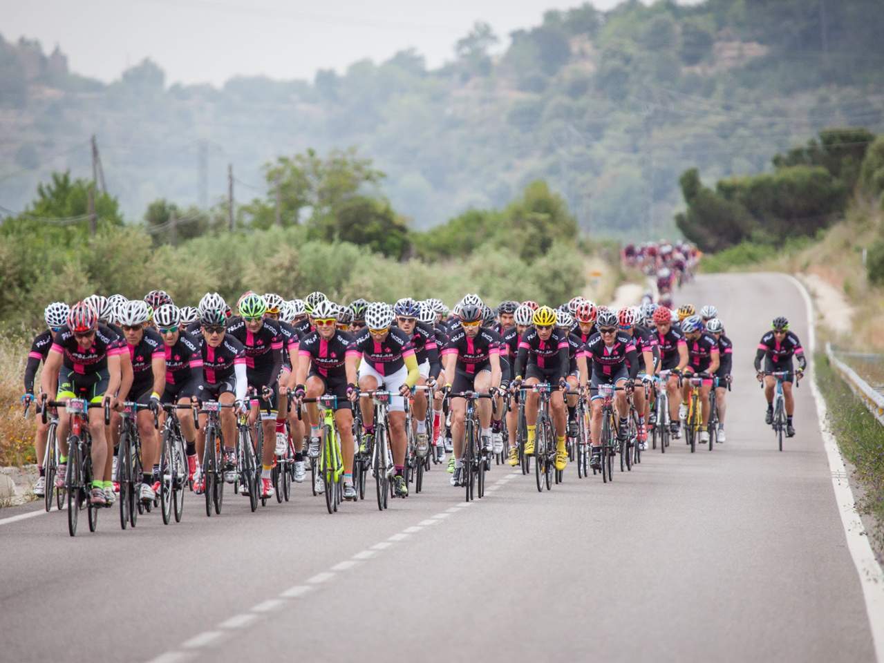 MUSSARA cumple 10 años de existencia en 2024 