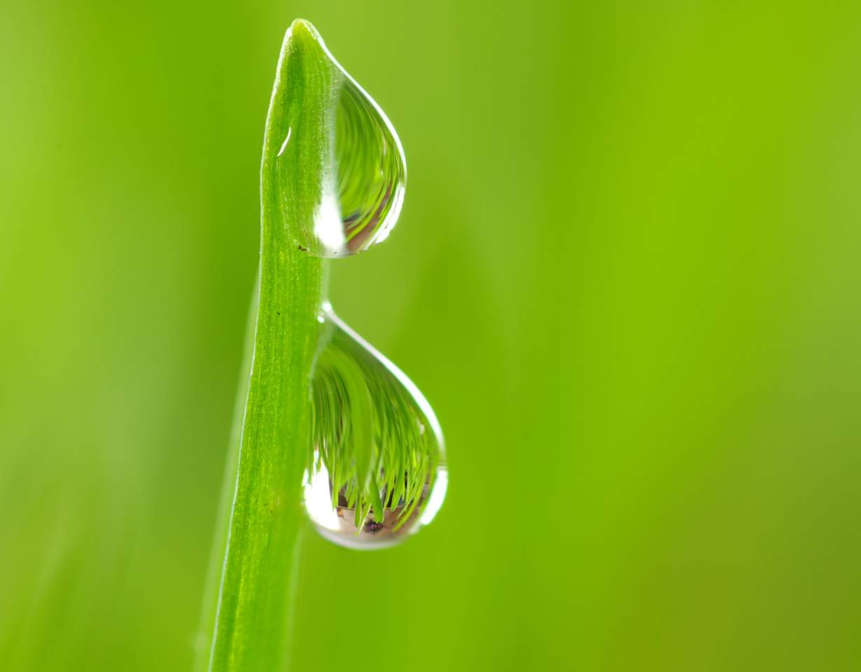 Como dos gotas de agua 