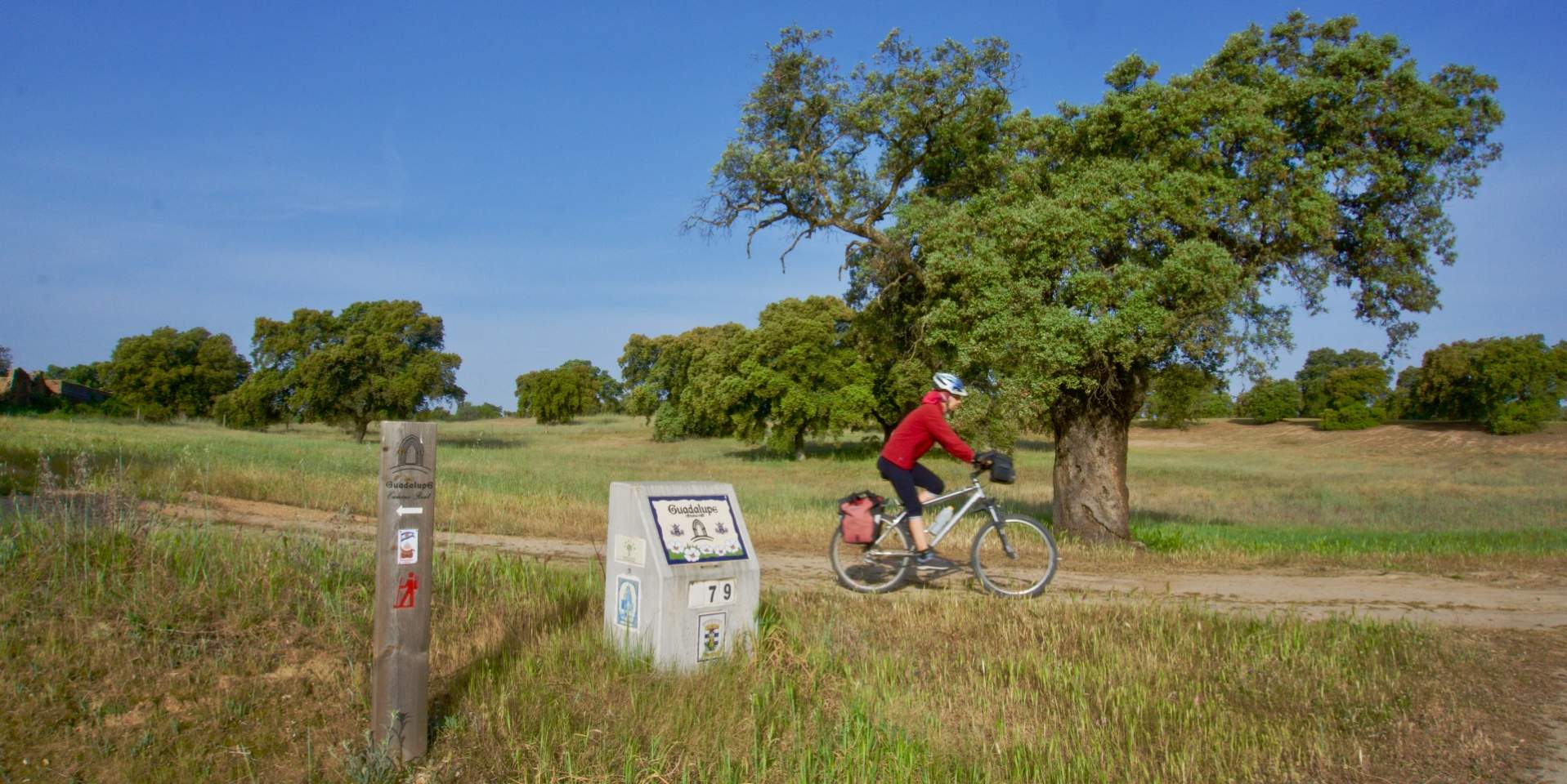 El Camino Real de Guadalupe 