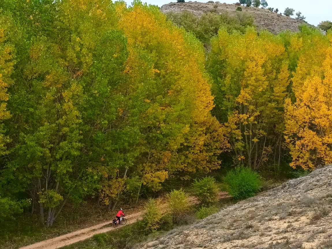 Otoño en  tres hoces de Guadalajara 